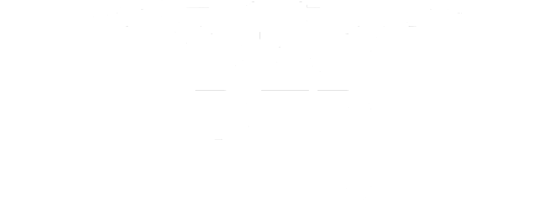 drone survey services